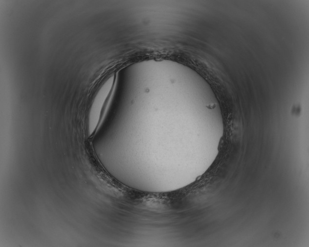 X0000088900756200707061454