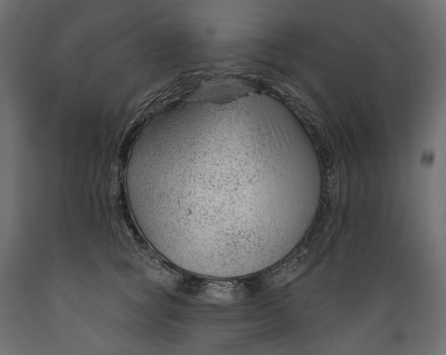 X0000088900757200707061454