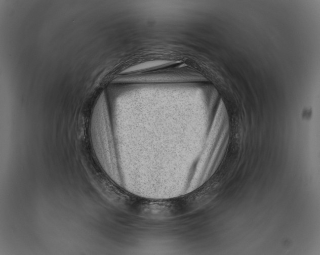 X0000088900758200707061454