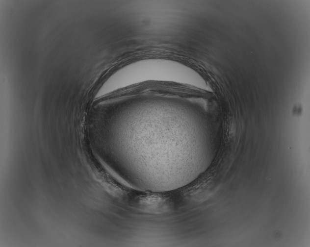 X0000088900759200707061454