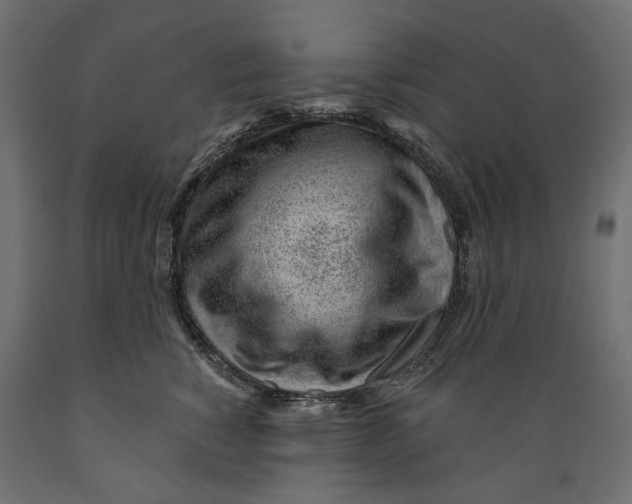 X0000088900760200707061454