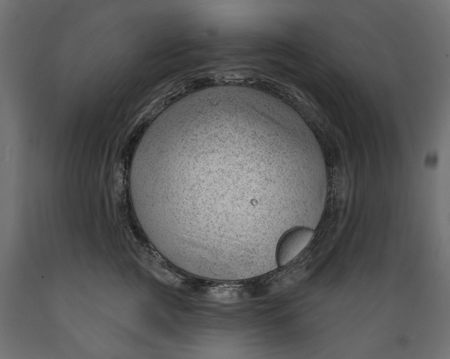 X0000088900761200707061454