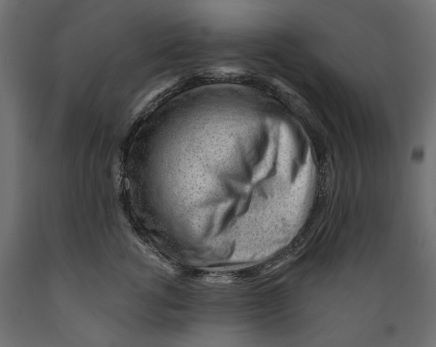 X0000088900762200707061454