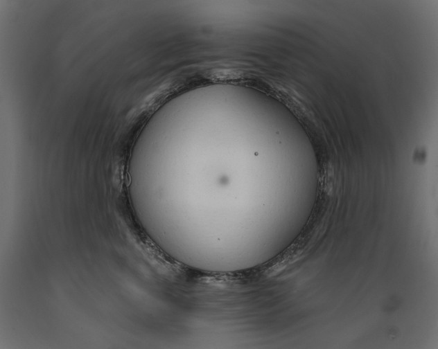 X0000088900763200707061454