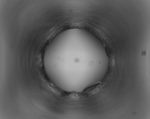 X0000088900764200707061454