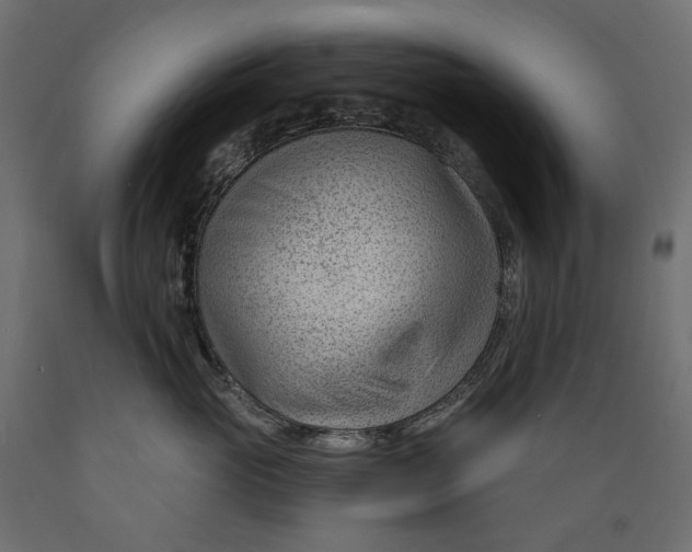 X0000088900765200707061454