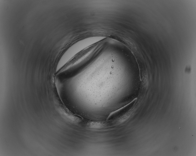 X0000088900766200707061454