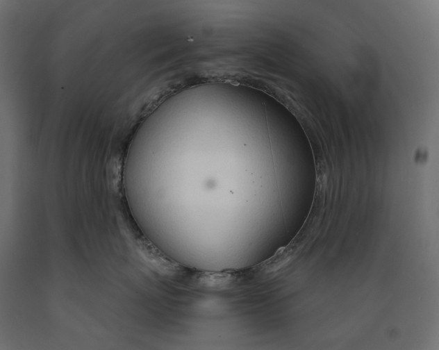 X0000088900767200707061454