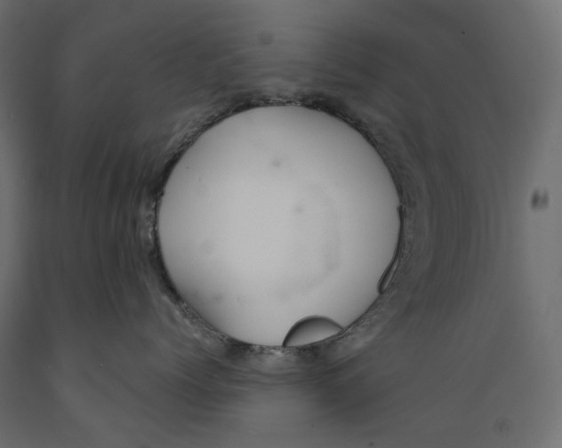 X0000088900768200707061454