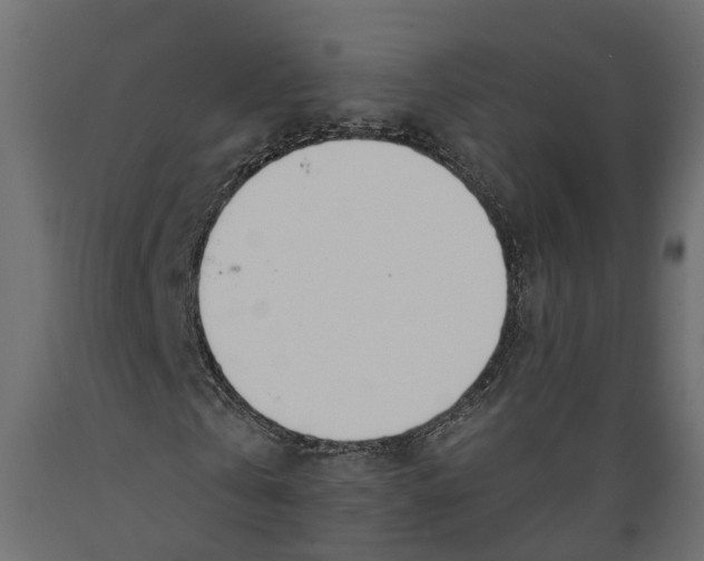 X0000088900769200707061454