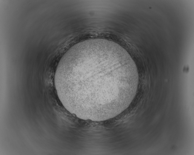 X0000088900770200707061454