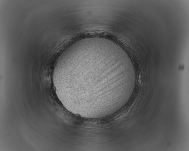 X0000088900771200707061454