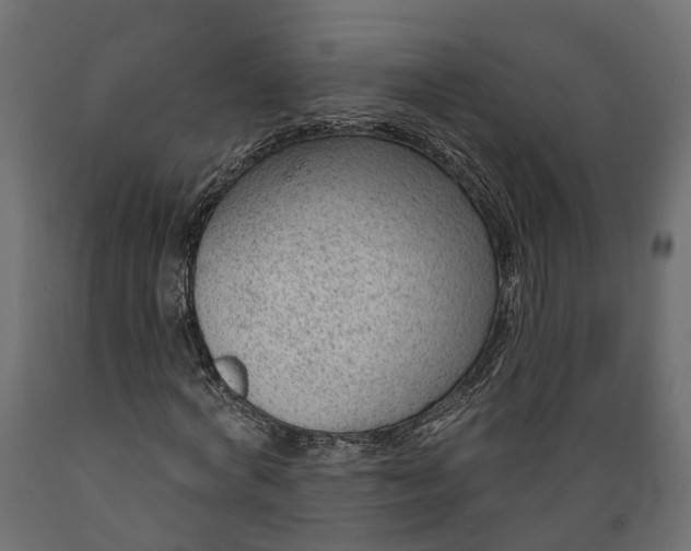 X0000088900772200707061454