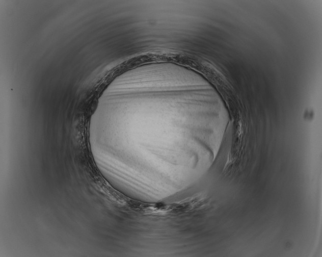 X0000088900773200707061454