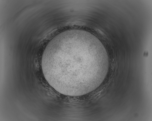 X0000088900774200707061454