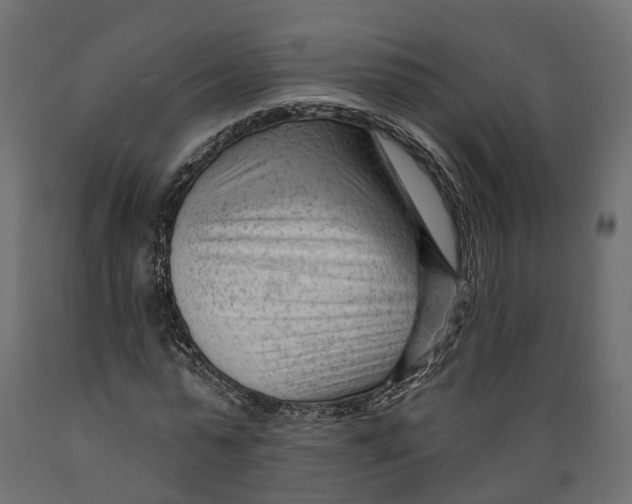 X0000088900775200707061454