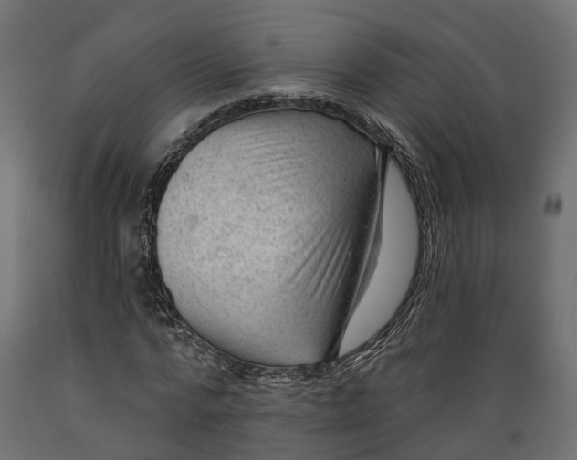 X0000088900776200707061453