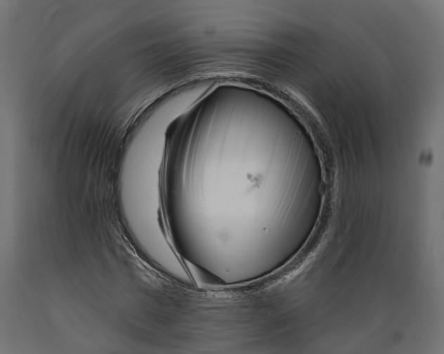 X0000088900777200707061453