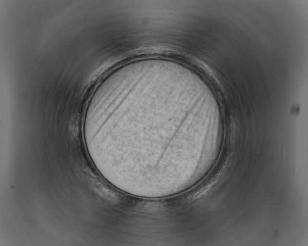 X0000088900778200707061453