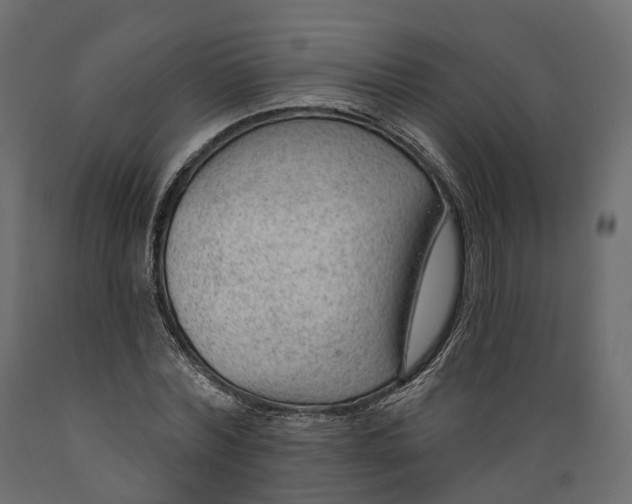 X0000088900780200707061453