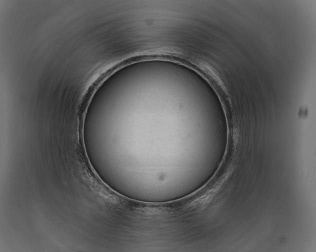 X0000088900781200707061453