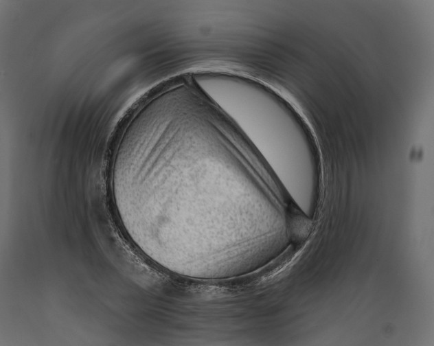 X0000088900783200707061453