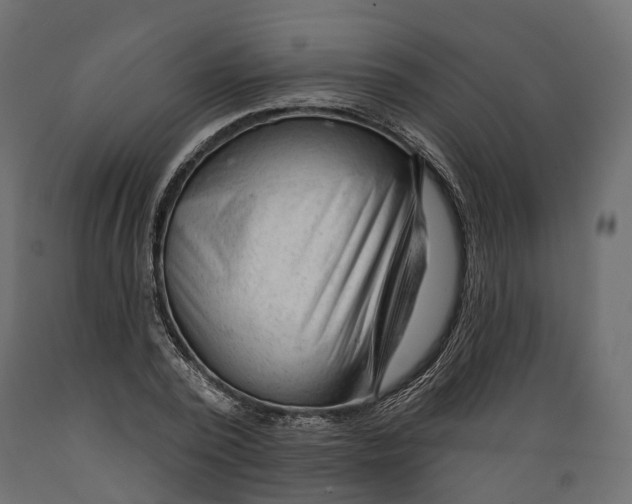 X0000088900784200707061453