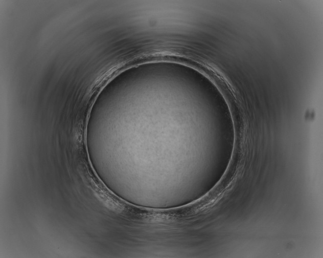 X0000088900785200707061453