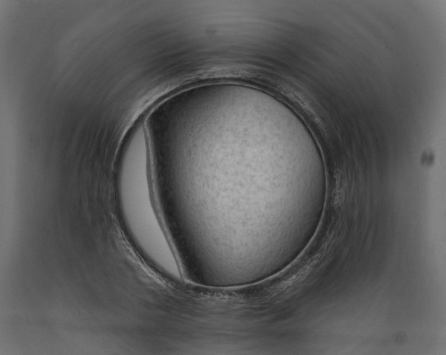 X0000088900786200707061453