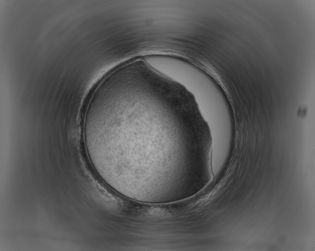 X0000088900787200707061453