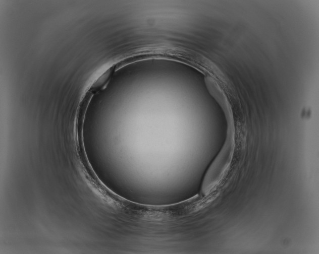 X0000088900788200707061453