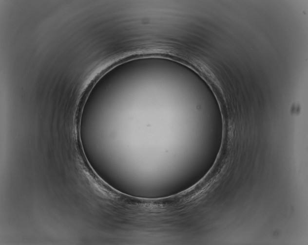 X0000088900789200707061453