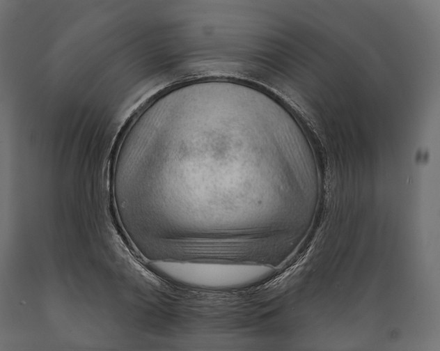 X0000088900790200707061453