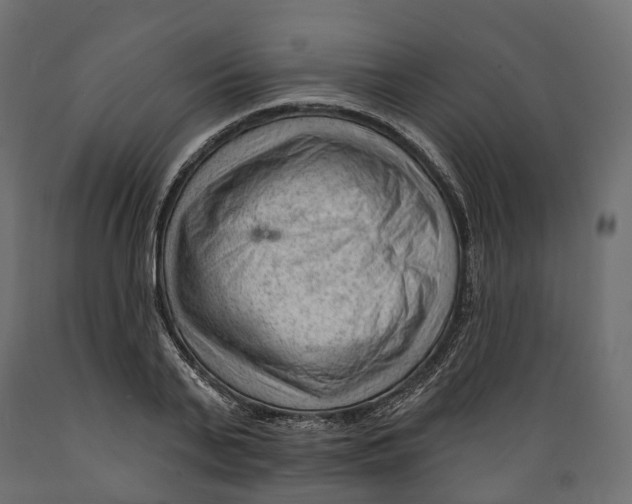 X0000088900791200707061453