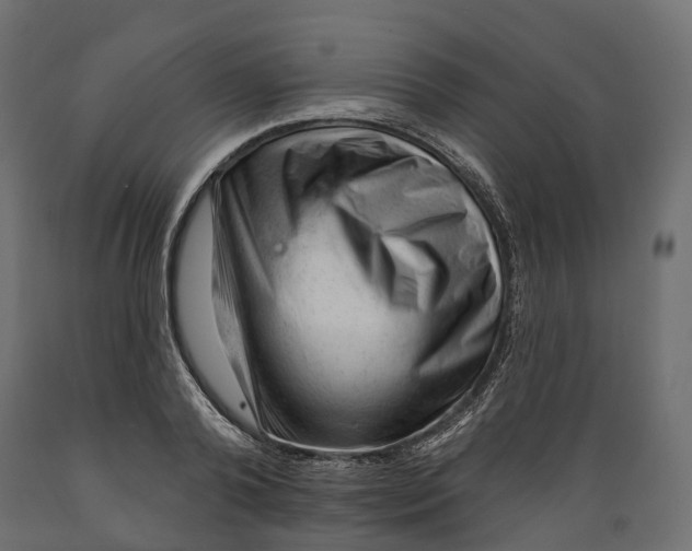 X0000088900792200707061453