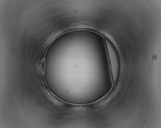 X0000088900793200707061453