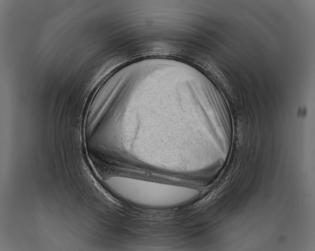 X0000088900794200707061453