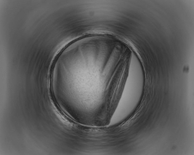 X0000088900795200707061453