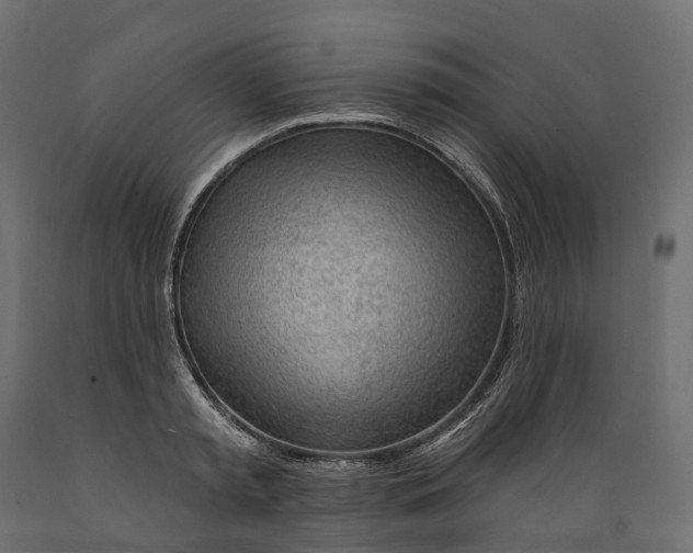 X0000088900797200707061453