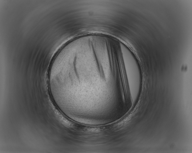 X0000088900798200707061453