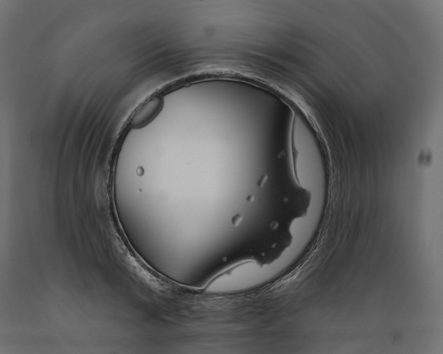 X0000088900799200707061453