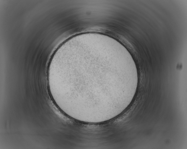 X0000088900800200707061453