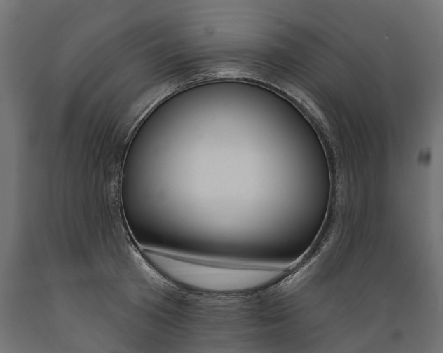 X0000088900801200707061453