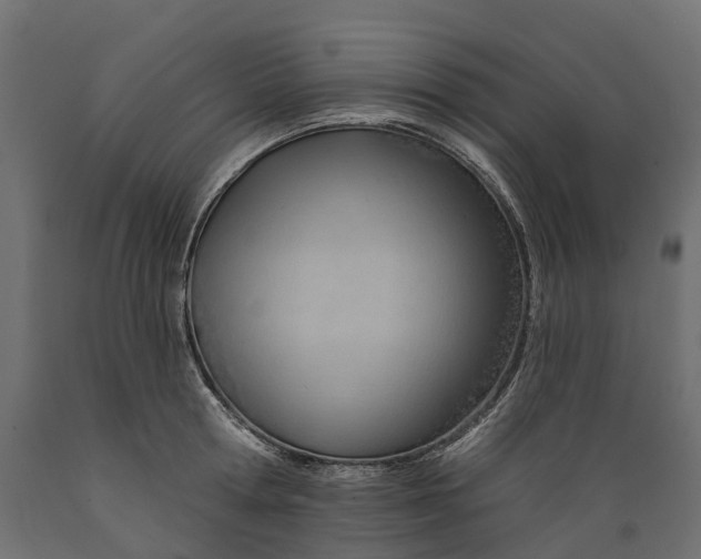 X0000088900802200707061453