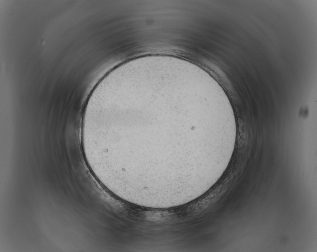 X0000088900804200707061453