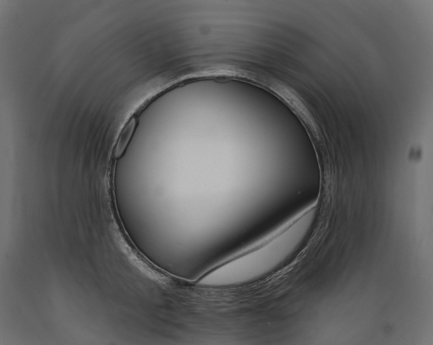 X0000088900805200707061453