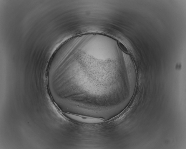 X0000088900806200707061453