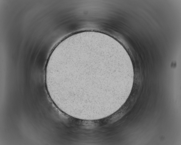 X0000088900807200707061453