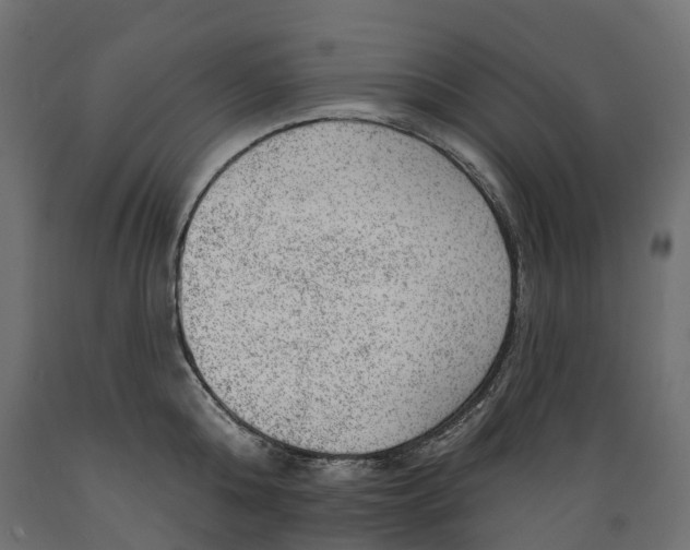 X0000088900808200707061453