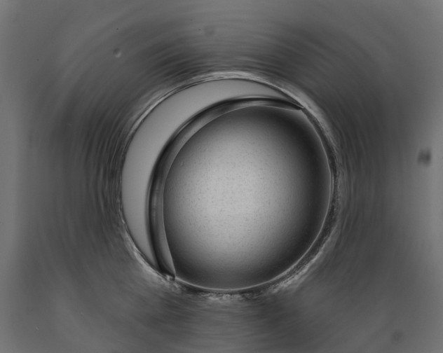 X0000088900809200707061453